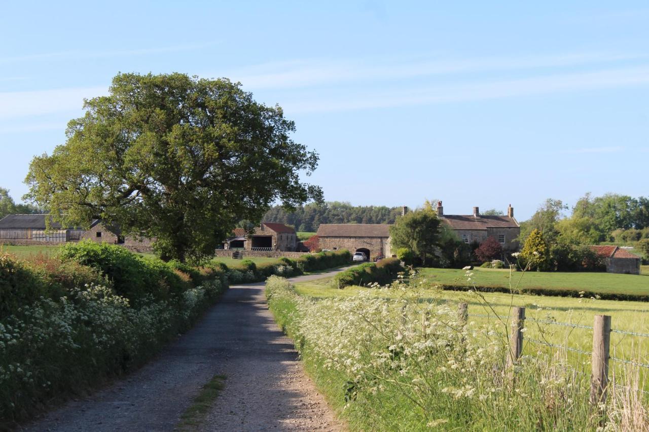 Mallard Grange B&B Ripon Exteriér fotografie